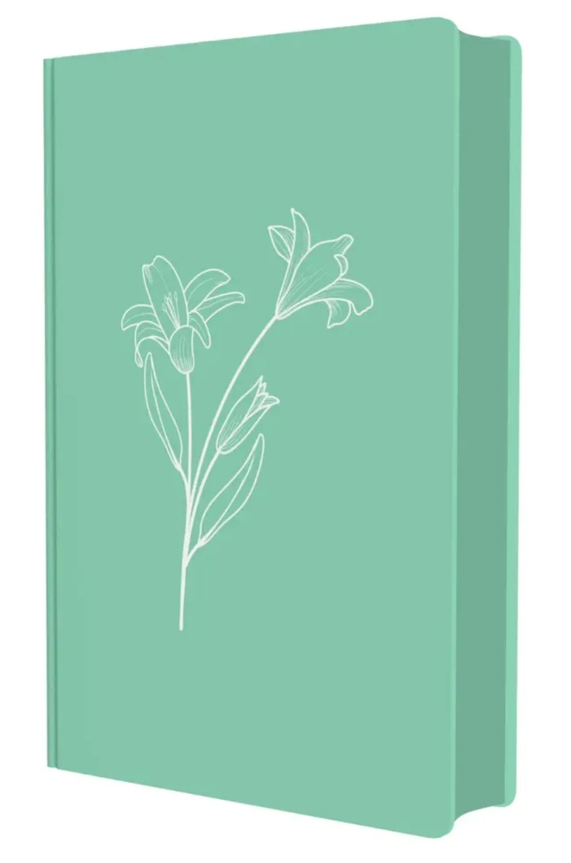 BIBLIA FEMININA NVI | Lírio Verde