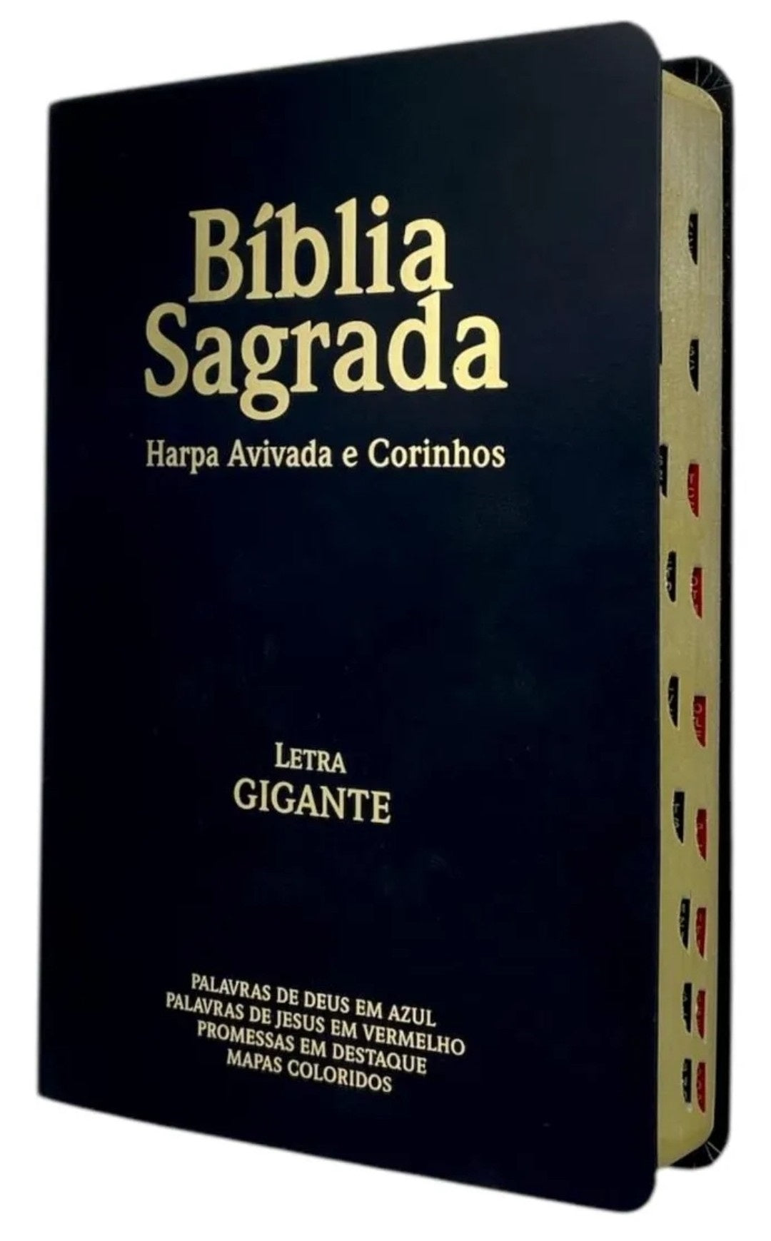 BÍBLIA SAGRADA COM HARPA AVIVADA E CORINHOS - ARC